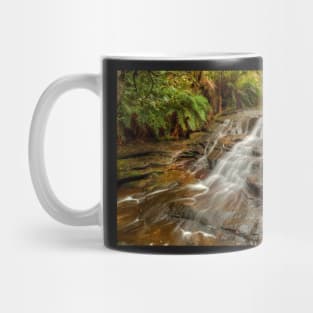 Aqua Silk, Rocks & Ferns Mug